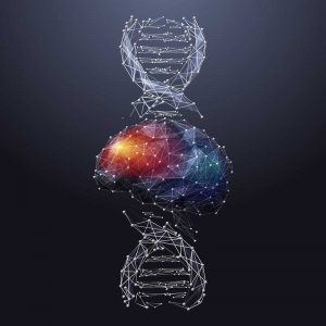bigstock Brain And Dna Spiral Low Poly 319496968